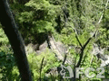 動画：20170602大柳川渓流公園天渕の滝